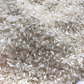 Gạp nếp nương Điện Biên
