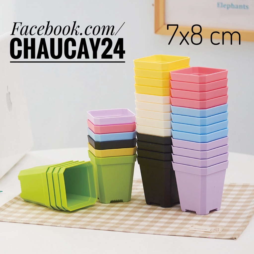 Chậu nhựa trồng sen đá mini (KÈM DĨA) hình vuông, chậu cây mini để bàn, xương rồng