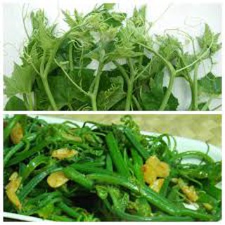 5 HẠT GIỐNG BÍ SIÊU NGỌN NĂNG SUẤT(T)