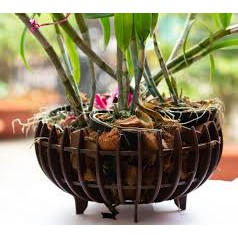 Chậu nhựa giả gỗ trồng lan hình quả bí (29cm)_Chậu lan bí phi 30