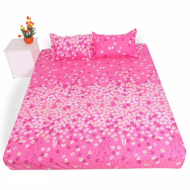 Bộ ga và vỏ gối