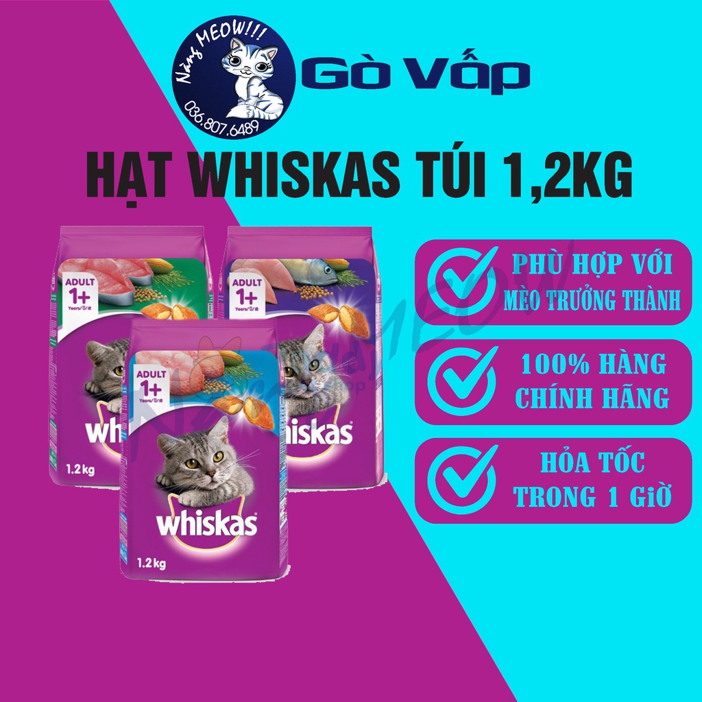 Hạt WHICKAS cho mèo con và mèo trưởng thành túi 1.2KG