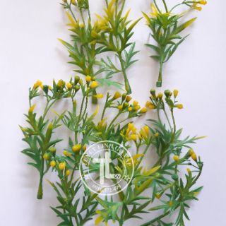 5 bịch hoa cỏ nhí trang trí  100k