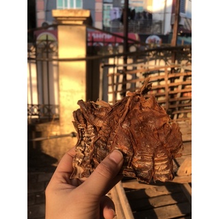MĂNG NỨA ĐIỆN BIÊN LOẠI 2 (1kg)