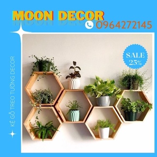 01 Kệ gỗ trang trí treo tường Lục Giác Mộc kệ để đồ lưu niệm cây cảnh hoàn toàn gỗ tự nhiên