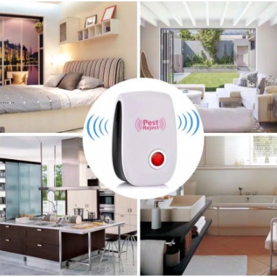 Mô Hình Côn Trùng 100% Mua 1 Get 1 | BigBuy360 - bigbuy360.vn