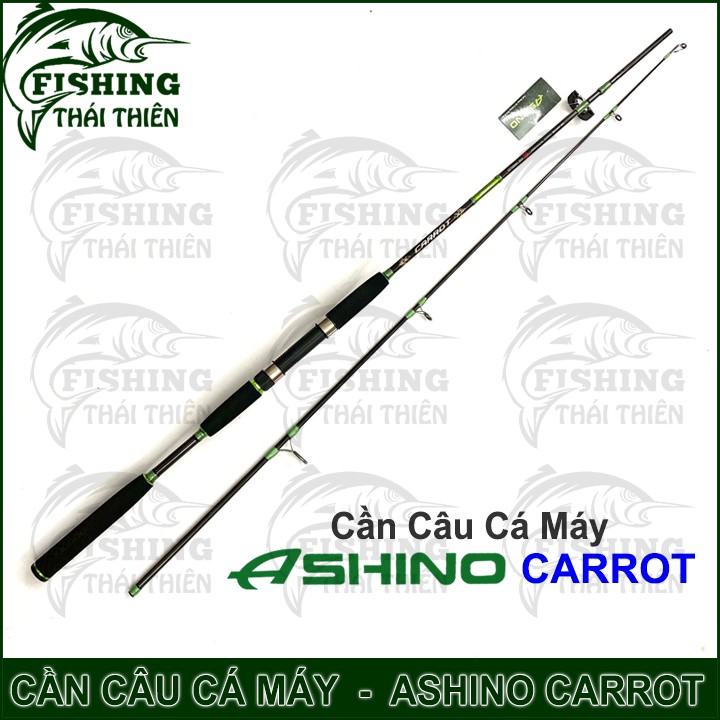 Cần câu cá Ashino Carrot Cần 2 khúc máy đứng cán hở dòng mới 2m1, 2m4, 2m7, 3m0