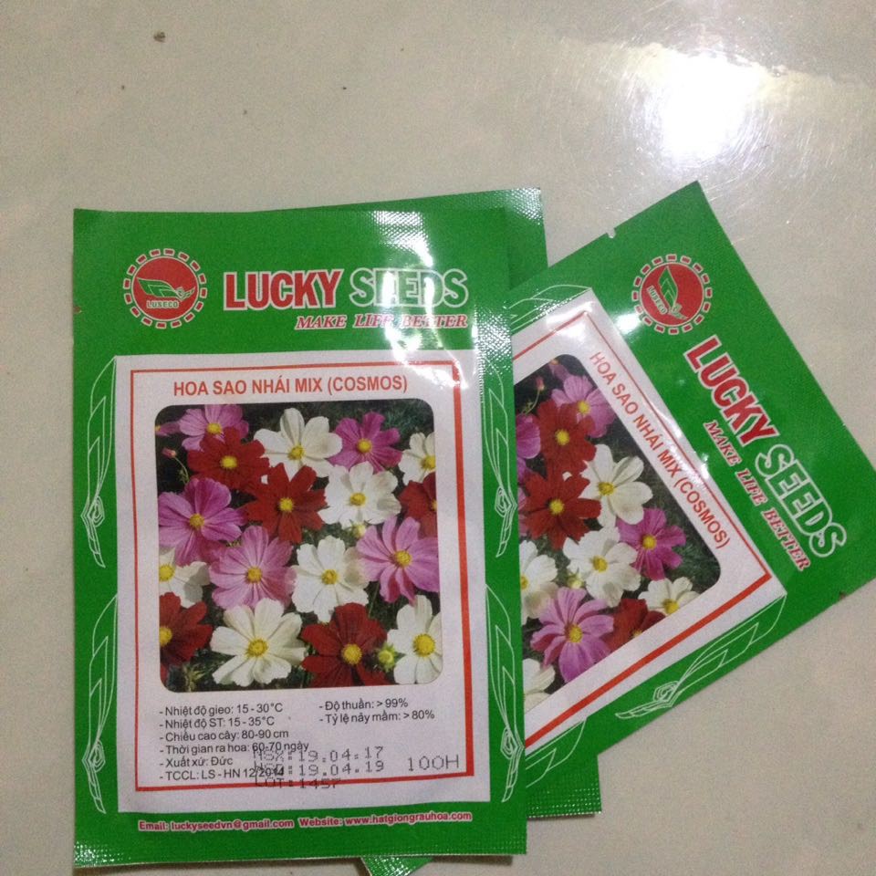 Hoa cúc sao nhái kép mix (50 hạt)