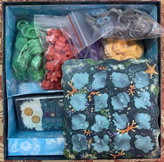 Board game Reef