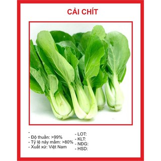 Hạt Giống Rau Cải Thìa Dễ Trồng (cải chíp), Năng Suất Cao 20gr