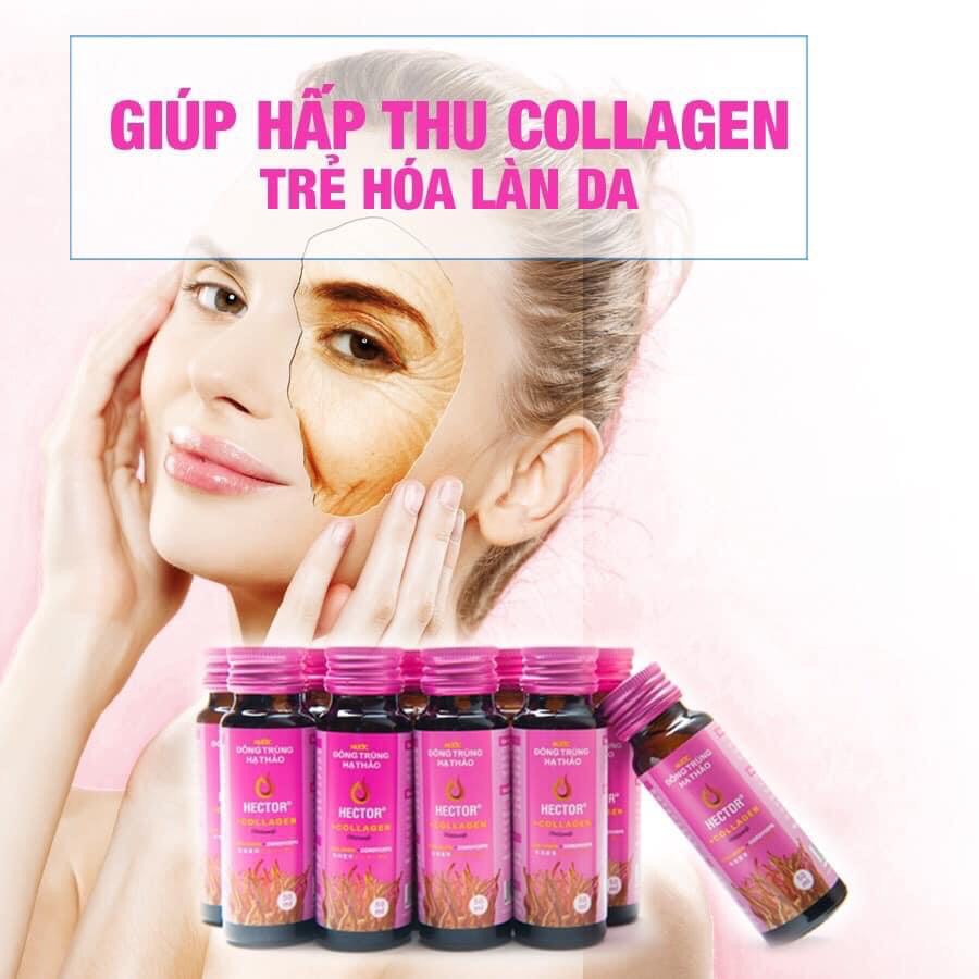 [Chính Hãng] Nước Hector Collagen Đông Trùng Hạ Thảo 1 hộp 10 chai