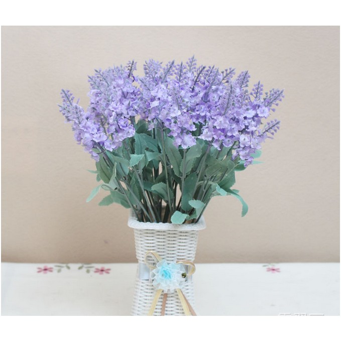 Hoa giả - Hoa lavender