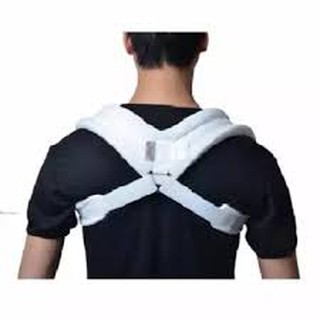 Đai số 8 orbe