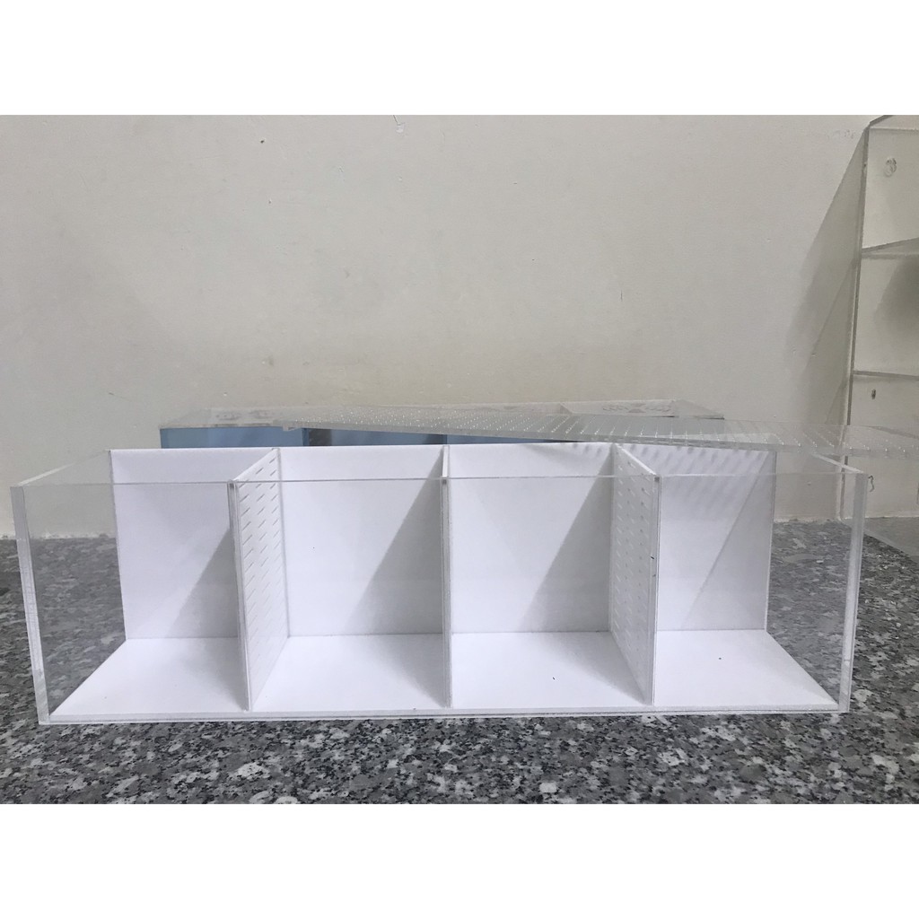 Bể cá/ hồ show cá 4 ngăn ( giá tại xưởng)