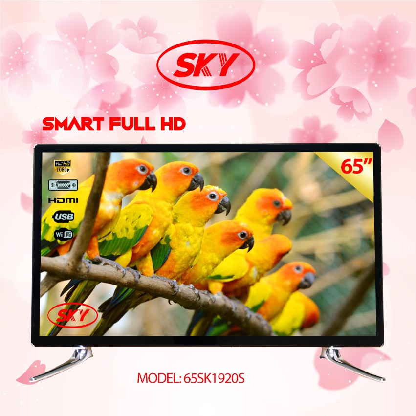 Smart TV Cường Lực IREKA FULL HD 65