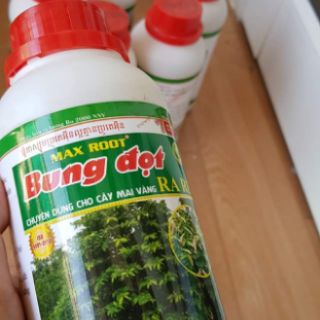 5lít Phân bón bung đọt ra rễ MAX ROOT
