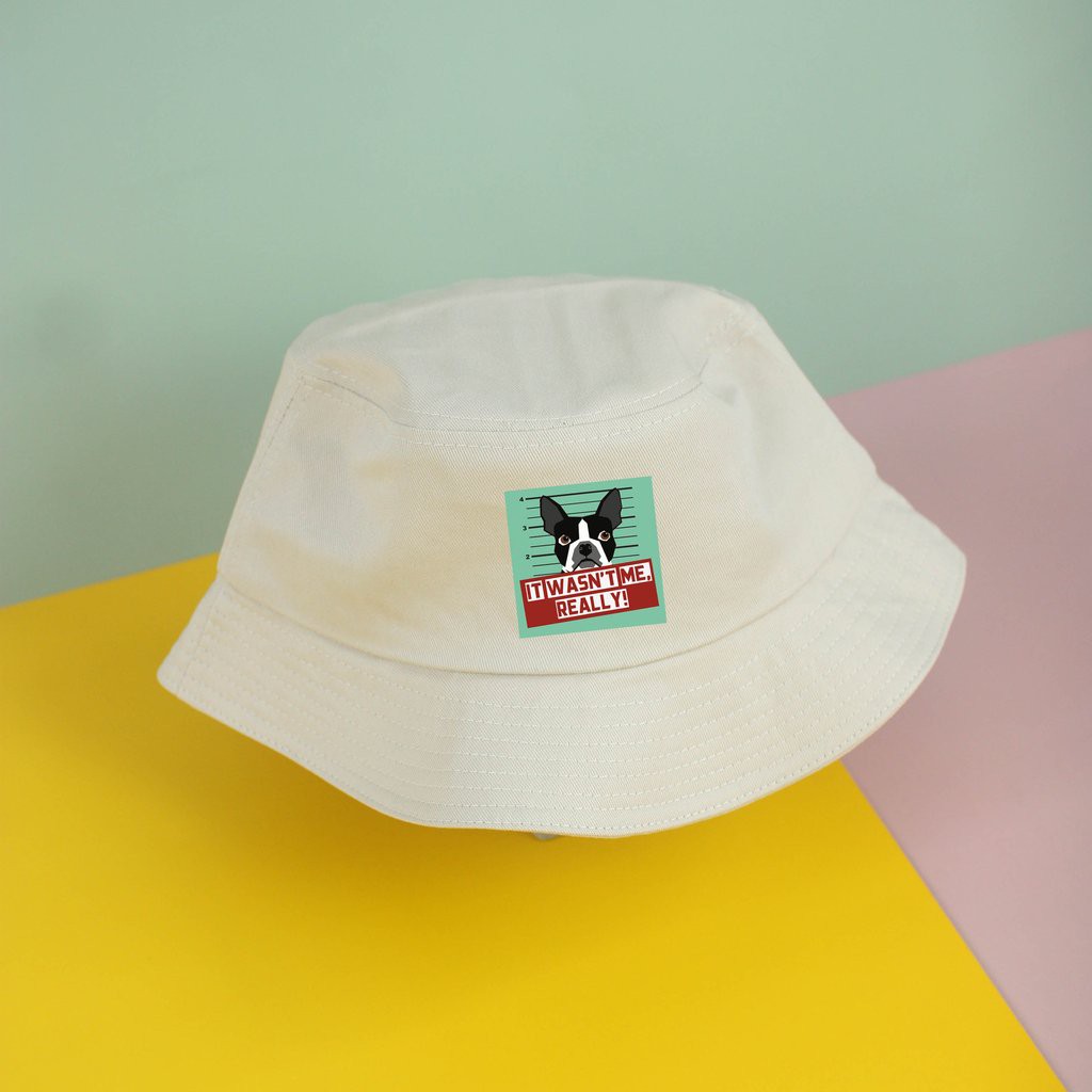 Nón bucket siêu xinh của chodole loại mũ unisex cho nam và nữ in hình độc đáo It wasn't me, really - Boston Terrier