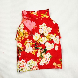 Áo dài tết cho thú cưng