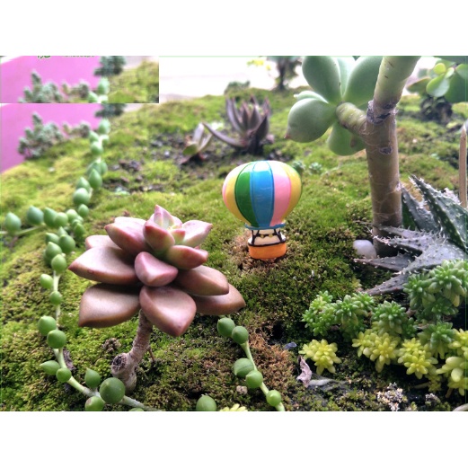 ❤❤Khinh Khí Cầu Nhiều Màu❤❤ Phụ Kiện Trang Trí Tiểu Cảnh Sen Đá, Terrarium, Decord Mô Hình, Nhà Búp Bê
