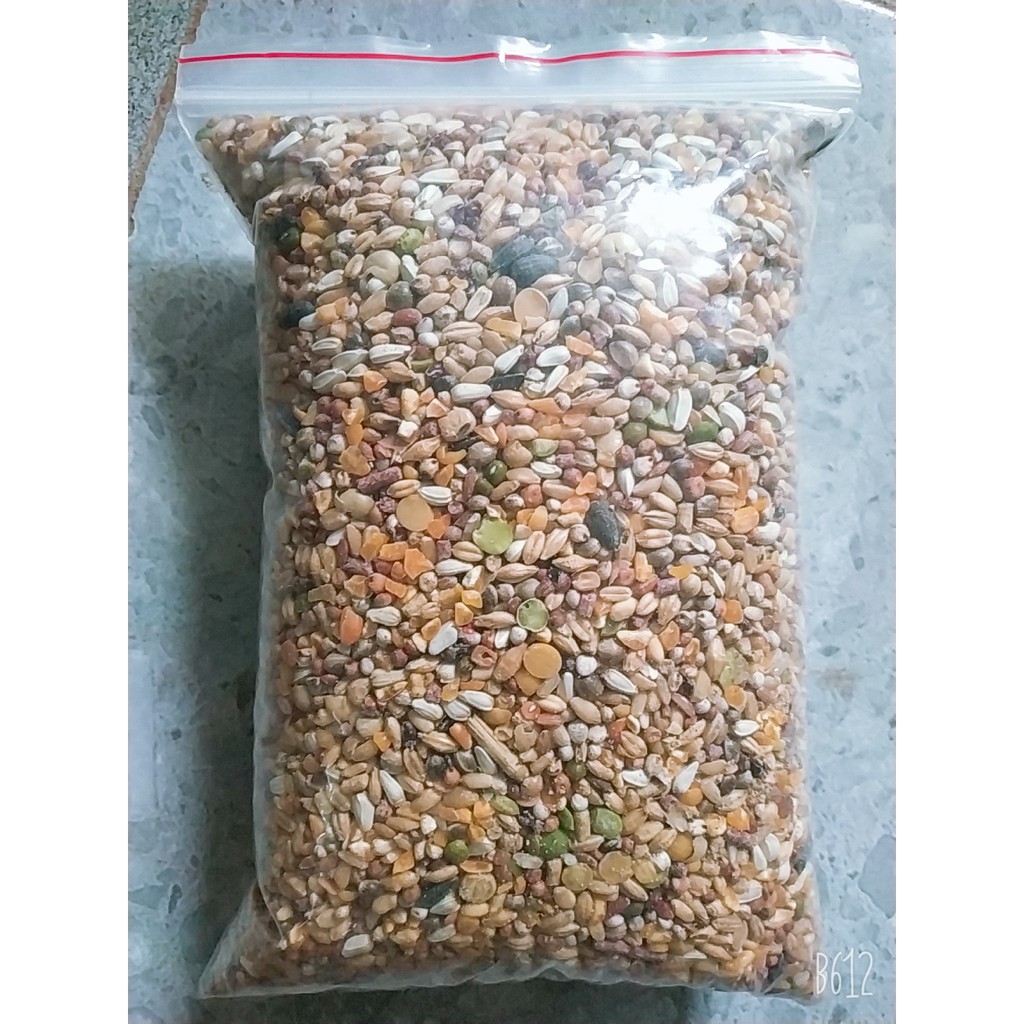 1 kg Ngũ cốc CAO CẤP cho gà đá