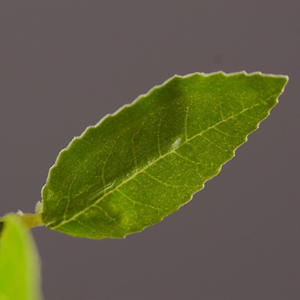 Nhánh Cây Chanh Giả 91cm / 35.8in Trang Trí Phòng Khách / Phòng Ăn / Nhà Bếp / Ban Công / Phòng Ăn Diy