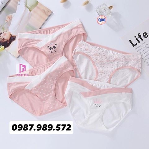 Sét 4 Quần chíp cạp chéo siêu sịn (CS101 ) coton siêu sịn, ( túi zip) | BigBuy360 - bigbuy360.vn