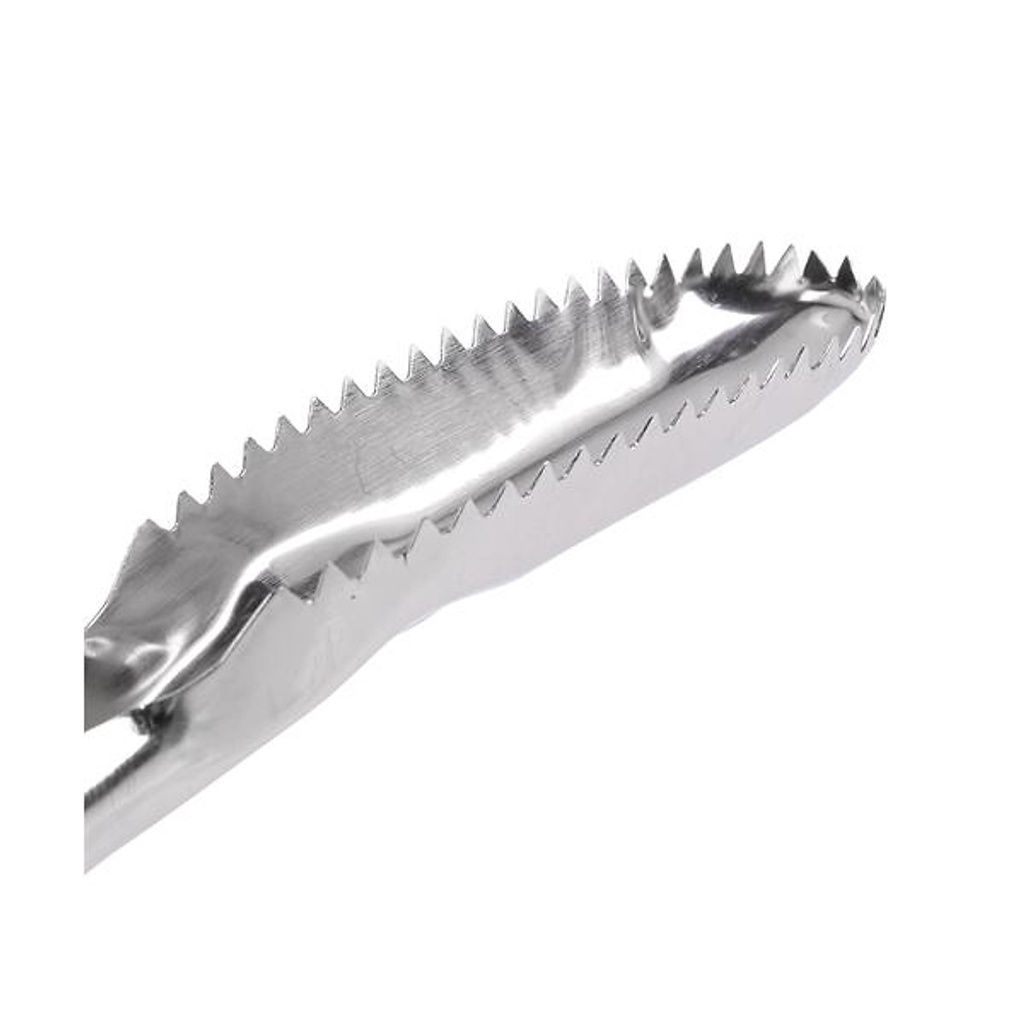 dụng cụ đánh vảy cá inox không rỉ