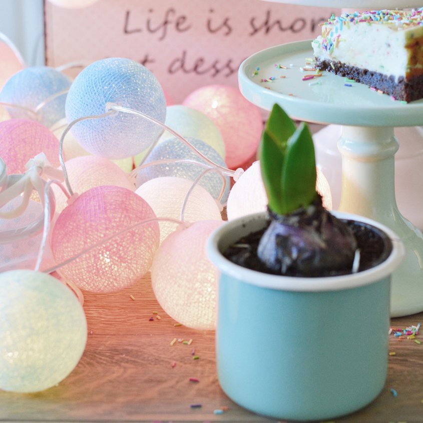 Dây Đèn Led Trang Trí Hình Tròn Kiểu Thái Lan