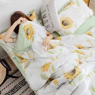 Đũi chăn chần bèo hoa hướng dương