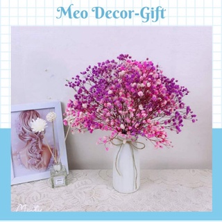 Hoa baby khô 💗SIÊU RẺ- Gypsophila hoa khô trang trí