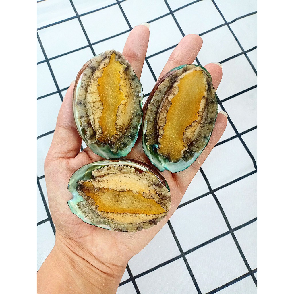 Bào ngư HQ size trung đã làm sạch