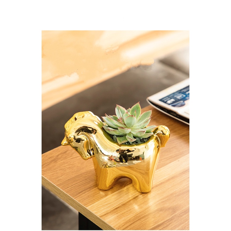 Chậu trồng sen đá cây mini để bàn hình ngựa mạ điện có lỗ thoát nước trang trí để bàn cực xinh