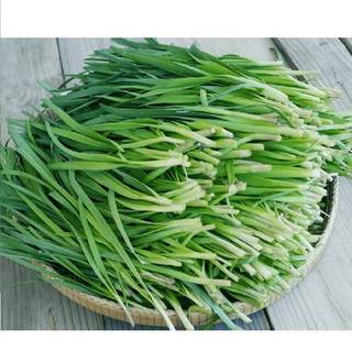 Bán buôn, bán lẻ - Hạt giống rau hẹ ta gói 5 gram xuất xứ Việt Nam tại thietbinhavuon_chất lượng.