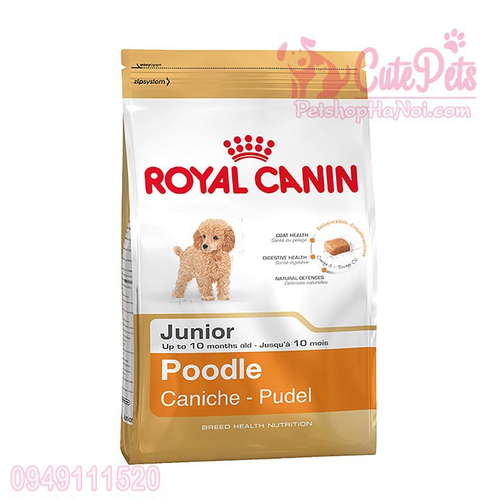 🐩 Royal Canin Poodle Junior 1.5kg Thức ăn cho chó Poodle - CutePets Phụ kiện chó mèo Pet shop Hà Nội