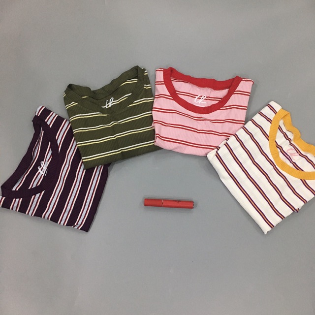Áo Charlotte Russe len dệt kim tay ngắn xuất xịn