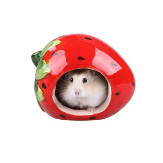 nhà sứ dâu tây cho hamster