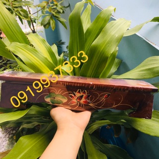 Đôn gỗ kê tượng dài (10*35 cm)