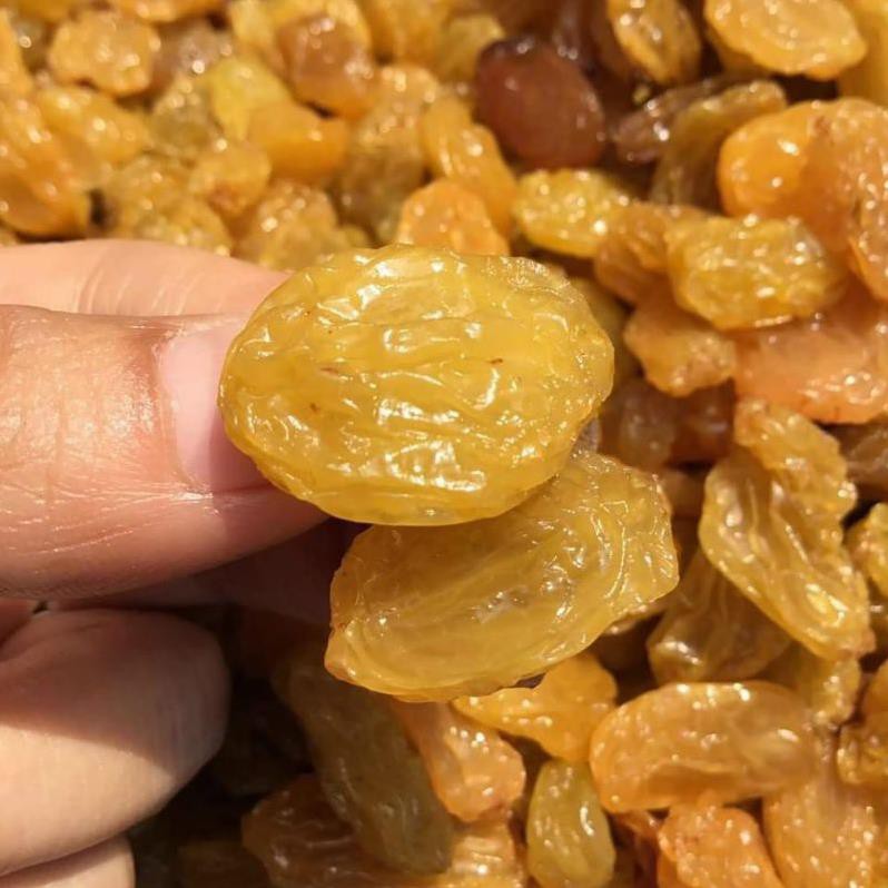 Nho Lion Vàng Sấy Dẻo Không Đường 500gr[FREE SHIP] TỪ ĐƠN 50K, [Loại Đặc Biệt] Hàng ngon nhà làm LOẠI 1