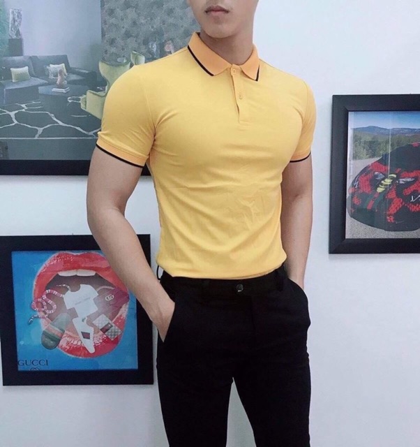 Áo phông cổ bẻ dệt cá sấu chất thun cottong mát, co giãn tốt dáng ôm body giá tốt | BigBuy360 - bigbuy360.vn