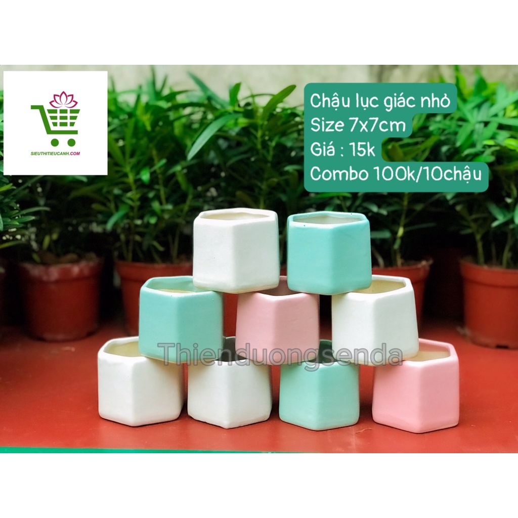 10 CHẬU SỨ HỎA BIẾN CAO CẤP TRỒNG SEN ĐÁ, XƯƠNG RỒNG, DECOR