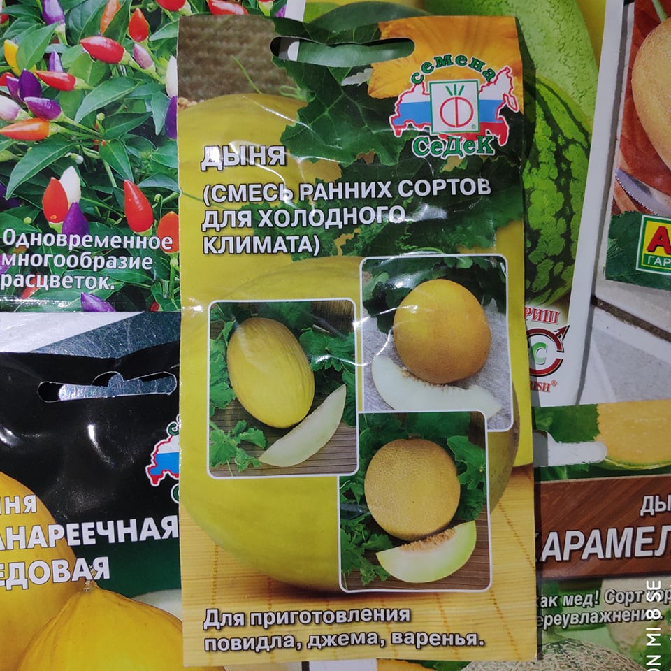 Gói hạt giống mix 3 loại dưa lê