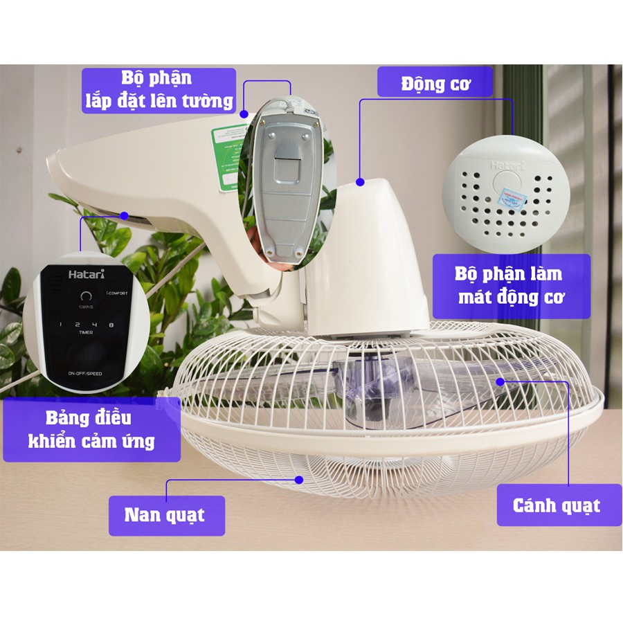 Quạt treo tường Hatari HT-W16R6 có điều khiển  - Hãng phân phối