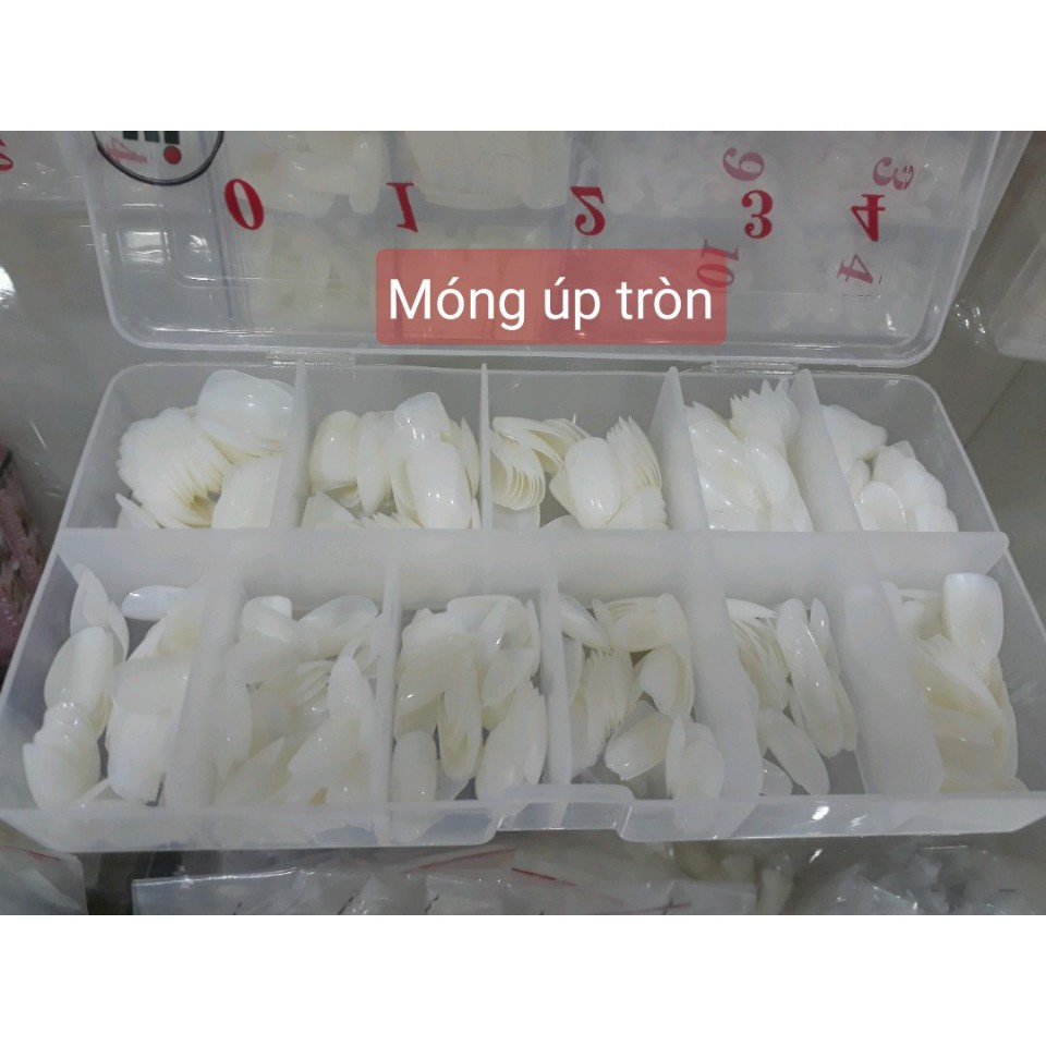 Móng úp tròn