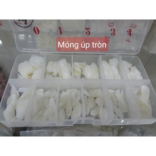 Móng úp tròn