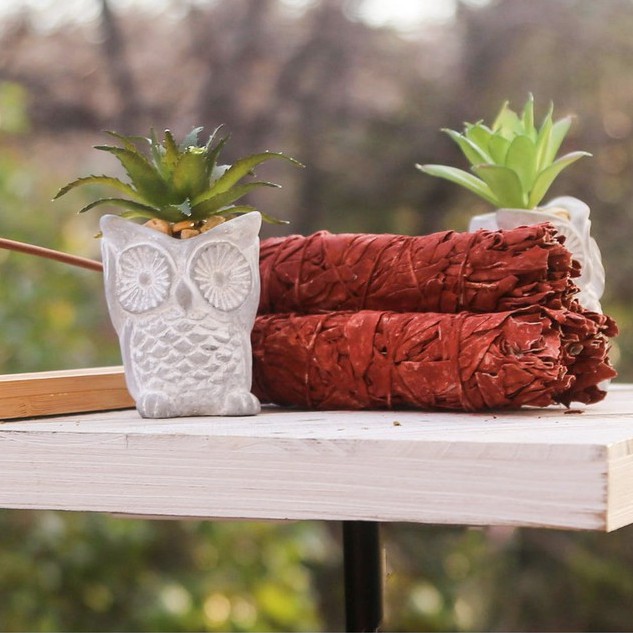 Xô Huyết Rồng 16CM thanh tẩy nhà cửa, cải thiện không gian sống - Thảo Mộc Xông Nhà