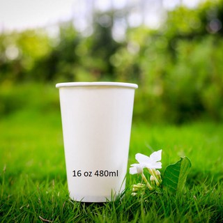 Cốc Giấy GREEN CUP 16oz 480ml (50 chiếc không nắp)