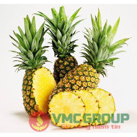 1 LÍT Hương dứa thực phẩm – Pineapple Flavour VMC-P184S, VMC-P185S, VMC-P186S