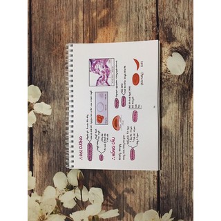 Pocket Mô học// Pocket Histology