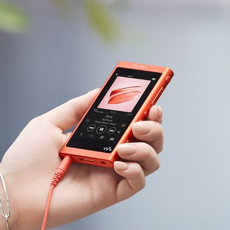 Máy Nghe Nhạc Sony Walkman NW-A55 | Chính Hãng Sony Việt Nam