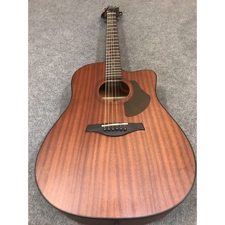 Guitar rosen g15